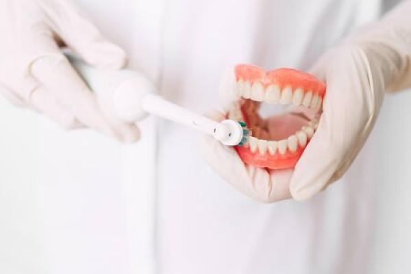 A dentist holds a mock set of teeth and cleans them with an electric toothbrush